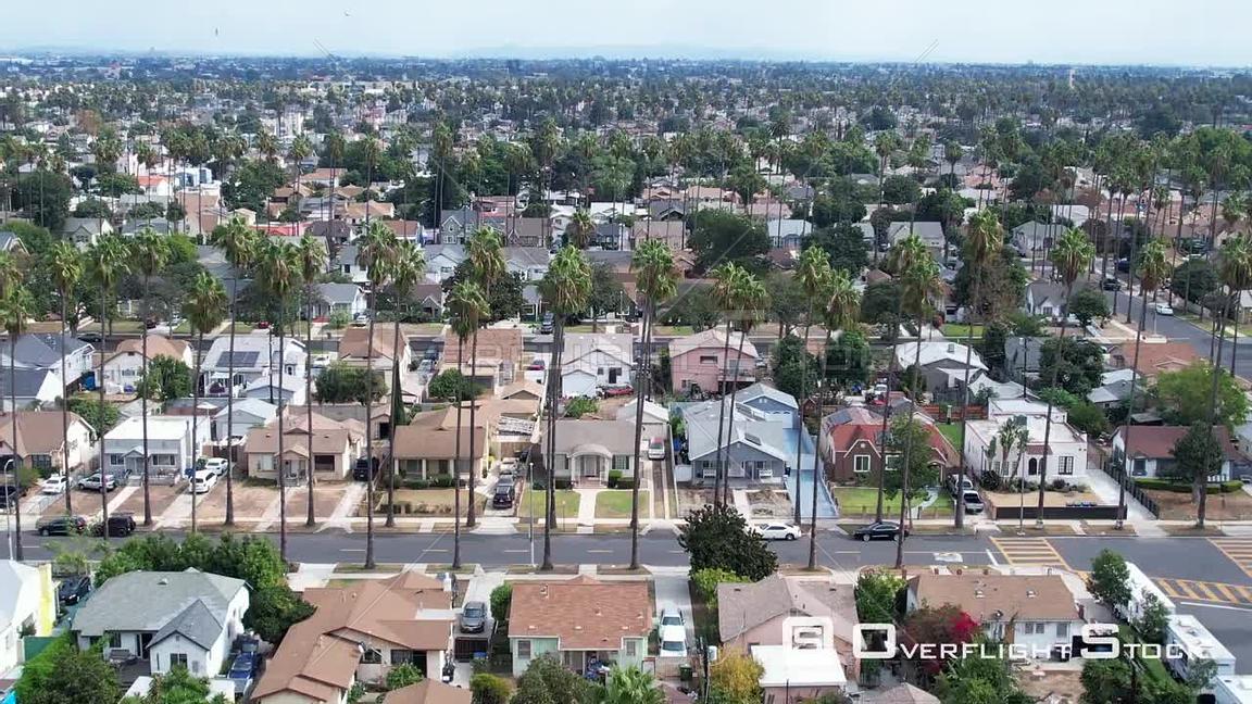 Beyond Gang Culture: How Policy Reshaped Black Los Angeles